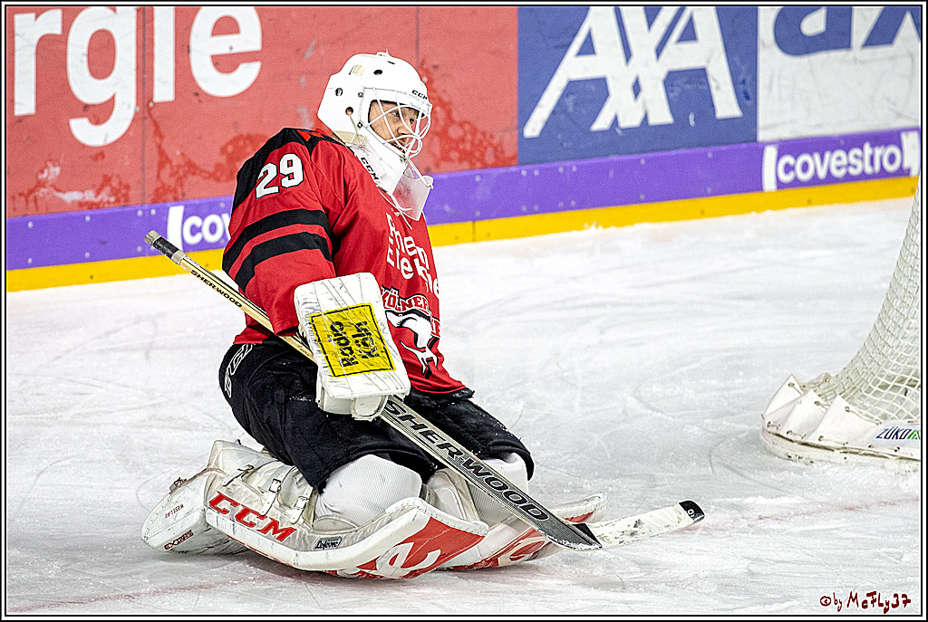 DEL-Playoff; Koelner Haie - ERC Ingolstadt, 24.03.2019